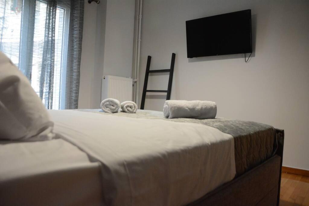 Heart Centre Apartment Athen